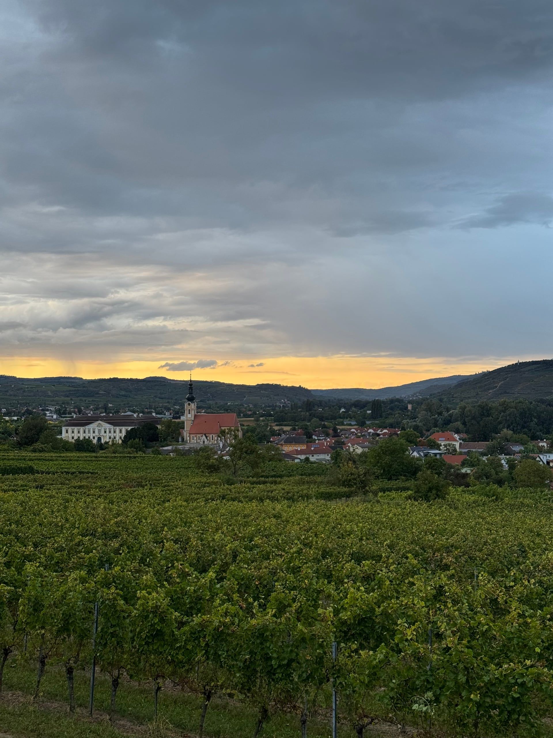 Weingärten vor dem Ort Gobelsburg mit Schloss und Kirchturm, darüber ein Gewitterhimmel mit gelbem Abendlicht